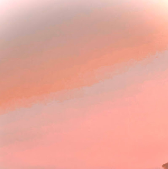 Meet your Posher, Defne - Picture 1 of 1